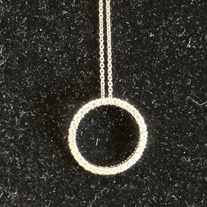 Epiphany Platinum Clad Silver & Diamonique Circle Pendant/16 to 18" Chain/NEW!!!